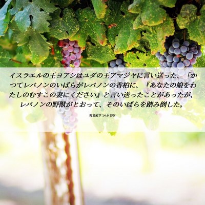 Picture 06 - 列王紀下 14:9 JPN - イスラエルの王ヨアシはユダの王ア - Bible Verse Picture