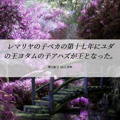 Picture 06 - 列王紀下 16:1 JPN - レマリヤの子ペカの第十七年にユダ - Bible Verse Picture