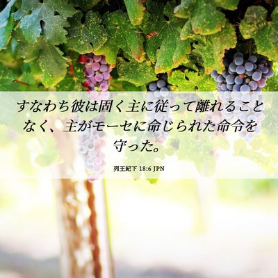 Picture 06 - 列王紀下 18:6 JPN - すなわち彼は固く主に従って離れる - Bible Verse Picture