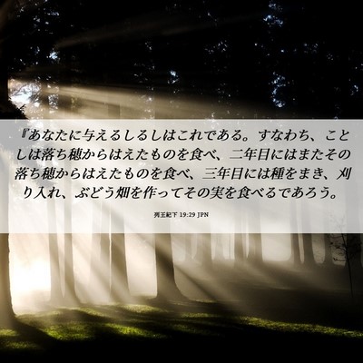Picture 06 - 列王紀下 19:29 JPN - 『あなたに与えるしるしはこれであ - Bible Verse Picture