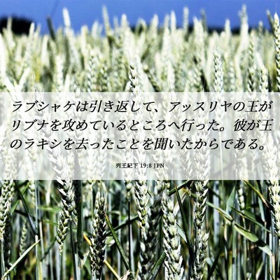 Picture 06 - 列王紀下 19:8 JPN - ラブシャケは引き返して、アッスリ - Bible Verse Picture
