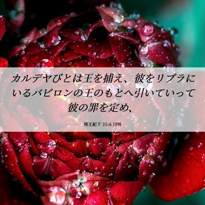 Picture 06 - 列王紀下 25:6 JPN - カルデヤびとは王を捕え、彼をリブ - Bible Verse Picture