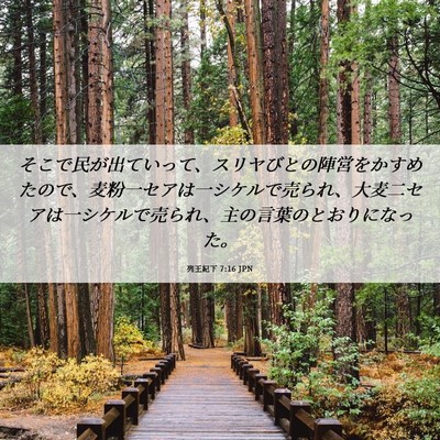 Picture 06 - 列王紀下 7:16 JPN - そこで民が出ていって、スリヤびと - Bible Verse Picture