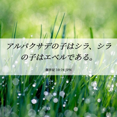 Picture 06 - 創世記 10:24 JPN - アルパクサデの子はシラ、シラの子 - Bible Verse Picture