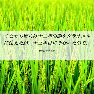 Picture 06 - 創世記 14:4 JPN - すなわち彼らは十二年の間ケダラオ - Bible Verse Picture