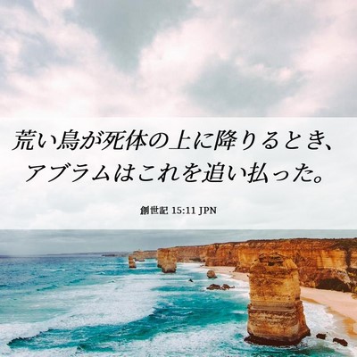 Picture 06 - 創世記 15:11 JPN - 荒い鳥が死体の上に降りるとき、ア - Bible Verse Picture