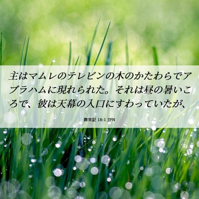 Picture 06 - 創世記 18:1 JPN - 主はマムレのテレビンの木のかたわ - Bible Verse Picture