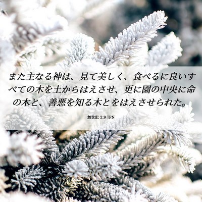 Picture 06 - 創世記 2:9 JPN - また主なる神は、見て美しく、食べ - Bible Verse Picture