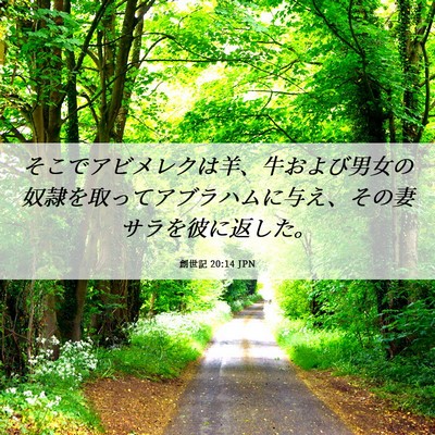 Picture 06 - 創世記 20:14 JPN - そこでアビメレクは羊、牛および男 - Bible Verse Picture