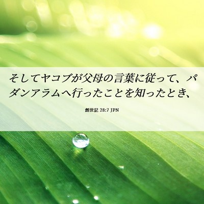 Picture 06 - 創世記 28:7 JPN - そしてヤコブが父母の言葉に従って - Bible Verse Picture