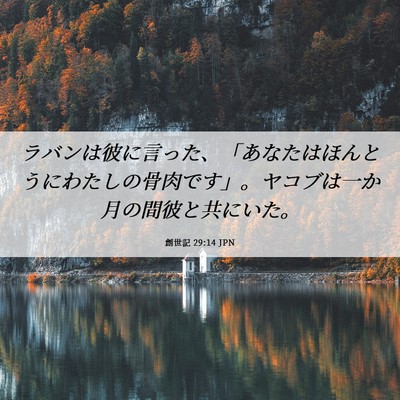 Picture 06 - 創世記 29:14 JPN - ラバンは彼に言った、「あなたはほ - Bible Verse Picture