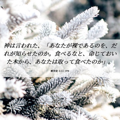 Picture 06 - 創世記 3:11 JPN - 神は言われた、「あなたが裸である - Bible Verse Picture