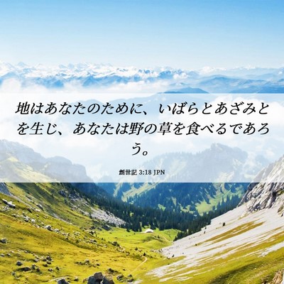 Picture 06 - 創世記 3:18 JPN - 地はあなたのために、いばらとあざ - Bible Verse Picture