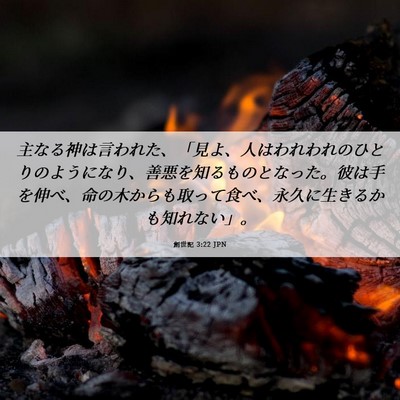 Picture 06 - 創世記 3:22 JPN - 主なる神は言われた、「見よ、人は - Bible Verse Picture