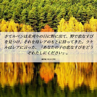 Picture 06 - 創世記 30:14 JPN - さてルベンは麦刈りの日に野に出て - Bible Verse Picture
