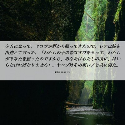 Picture 06 - 創世記 30:16 JPN - 夕方になって、ヤコブが野から帰っ - Bible Verse Picture