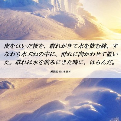 Picture 06 - 創世記 30:38 JPN - 皮をはいだ枝を、群れがきて水を飲 - Bible Verse Picture