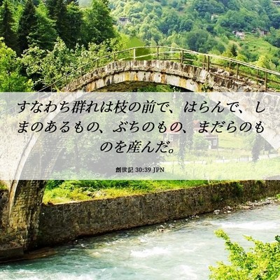 Picture 06 - 創世記 30:39 JPN - すなわち群れは枝の前で、はらんで - Bible Verse Picture
