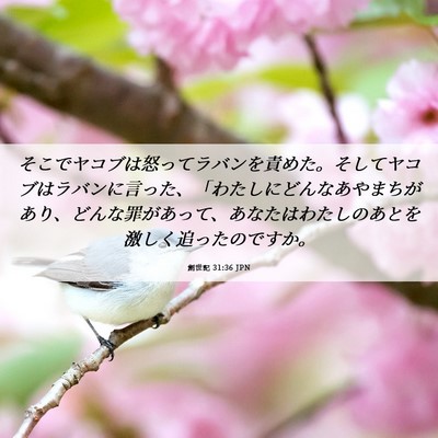 Picture 06 - 創世記 31:36 JPN - そこでヤコブは怒ってラバンを責め - Bible Verse Picture