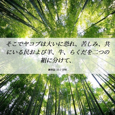 Picture 06 - 創世記 32:7 JPN - そこでヤコブは大いに恐れ、苦しみ - Bible Verse Picture