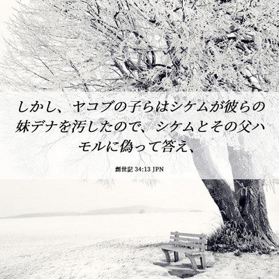 Picture 06 - 創世記 34:13 JPN - しかし、ヤコブの子らはシケムが彼 - Bible Verse Picture
