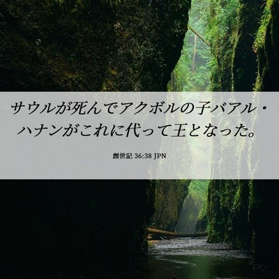 Picture 06 - 創世記 36:38 JPN - サウルが死んでアクボルの子バアル - Bible Verse Picture