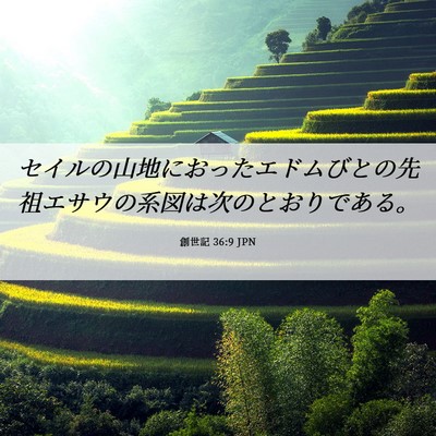 Picture 06 - 創世記 36:9 JPN - セイルの山地におったエドムびとの - Bible Verse Picture