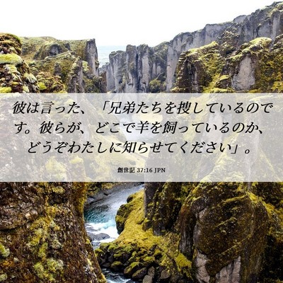 Picture 06 - 創世記 37:16 JPN - 彼は言った、「兄弟たちを捜してい - Bible Verse Picture