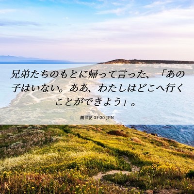 Picture 06 - 創世記 37:30 JPN - 兄弟たちのもとに帰って言った、「 - Bible Verse Picture