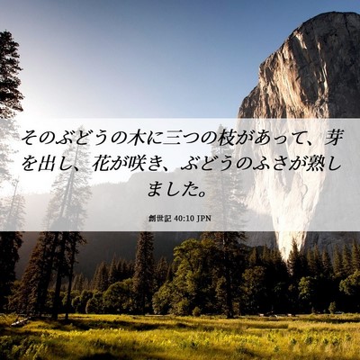 Picture 06 - 創世記 40:10 JPN - そのぶどうの木に三つの枝があって - Bible Verse Picture