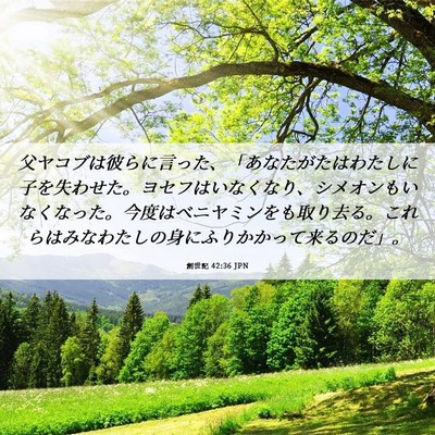 Picture 06 - 創世記 42:36 JPN - 父ヤコブは彼らに言った、「あなた - Bible Verse Picture