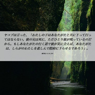 Picture 06 - 創世記 42:38 JPN - ヤコブは言った、「わたしの子はあ - Bible Verse Picture