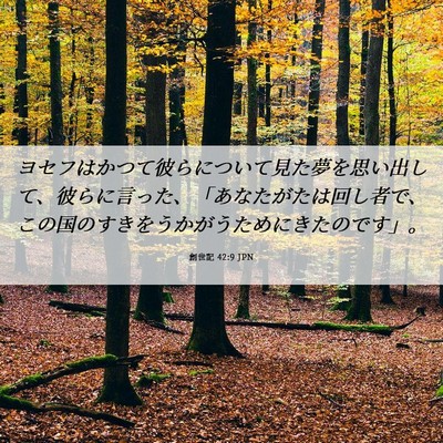 Picture 06 - 創世記 42:9 JPN - ヨセフはかつて彼らについて見た夢 - Bible Verse Picture