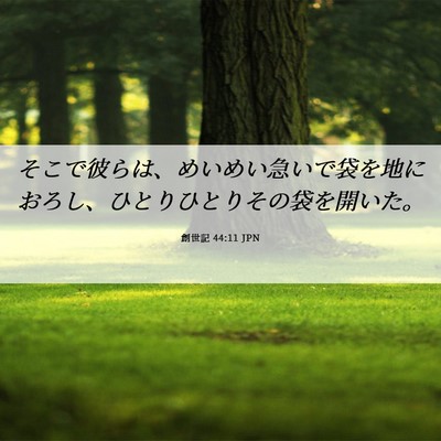 Picture 06 - 創世記 44:11 JPN - そこで彼らは、めいめい急いで袋を - Bible Verse Picture