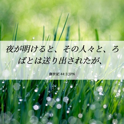 Picture 06 - 創世記 44:3 JPN - 夜が明けると、その人々と、ろばと - Bible Verse Picture