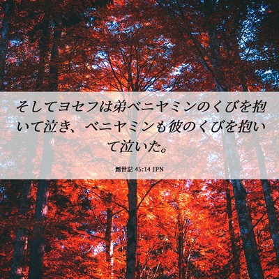 Picture 06 - 創世記 45:14 JPN - そしてヨセフは弟ベニヤミンのくび - Bible Verse Picture