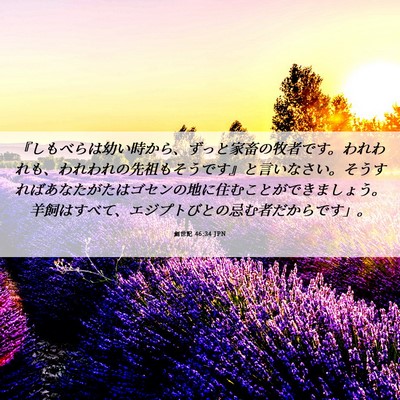Picture 06 - 創世記 46:34 JPN - 『しもべらは幼い時から、ずっと家 - Bible Verse Picture