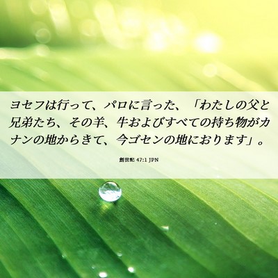 Picture 06 - 創世記 47:1 JPN - ヨセフは行って、パロに言った、「 - Bible Verse Picture