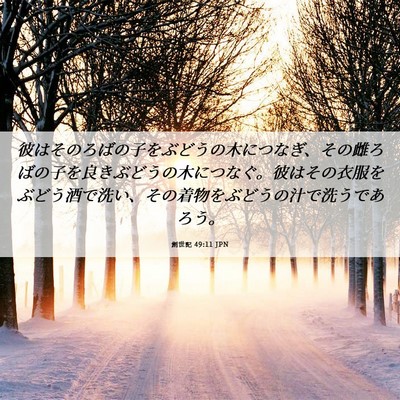 Picture 06 - 創世記 49:11 JPN - 彼はそのろばの子をぶどうの木につ - Bible Verse Picture