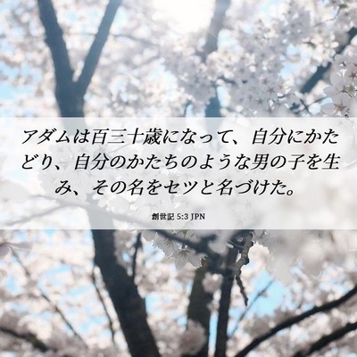 Picture 06 - 創世記 5:3 JPN - アダムは百三十歳になって、自分に - Bible Verse Picture