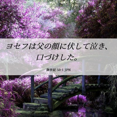 Picture 06 - 創世記 50:1 JPN - ヨセフは父の顔に伏して泣き、口づ - Bible Verse Picture