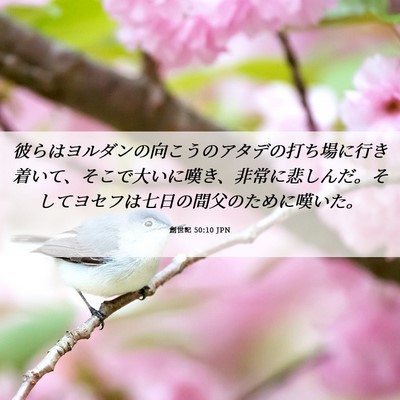 Picture 06 - 創世記 50:10 JPN - 彼らはヨルダンの向こうのアタデの - Bible Verse Picture