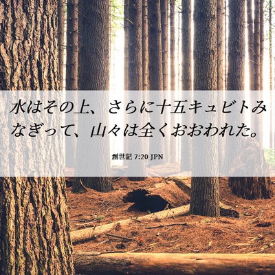 Picture 06 - 創世記 7:20 JPN - 水はその上、さらに十五キュビトみ - Bible Verse Picture