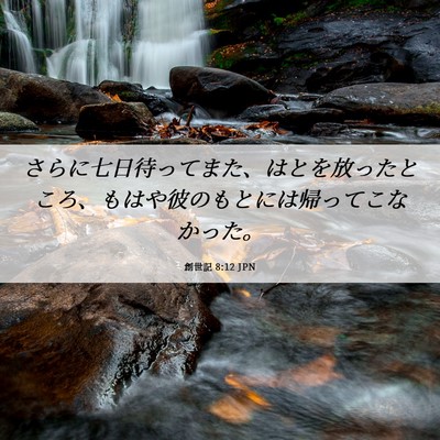 Picture 06 - 創世記 8:12 JPN - さらに七日待ってまた、はとを放っ - Bible Verse Picture
