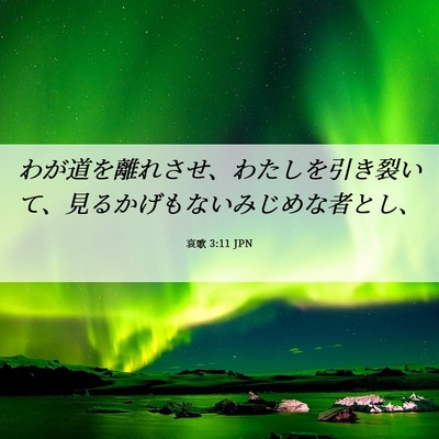Picture 06 - 哀歌 3:11 JPN - わが道を離れさせ、わたしを引き裂 - Bible Verse Picture