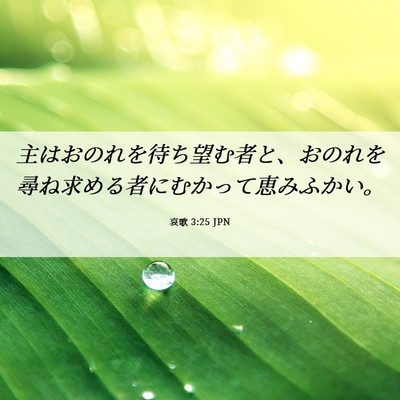 Picture 06 - 哀歌 3:25 JPN - 主はおのれを待ち望む者と、おのれ - Bible Verse Picture