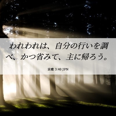 Picture 06 - 哀歌 3:40 JPN - われわれは、自分の行いを調べ、か - Bible Verse Picture