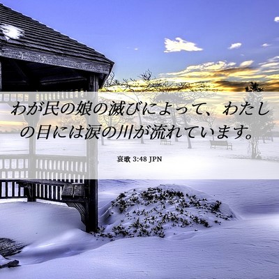 Picture 06 - 哀歌 3:48 JPN - わが民の娘の滅びによって、わたし - Bible Verse Picture