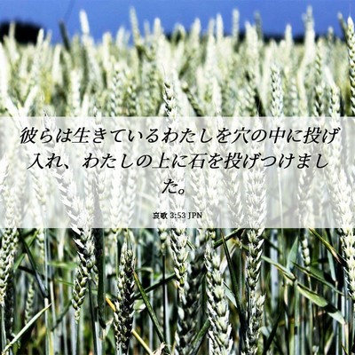 Picture 06 - 哀歌 3:53 JPN - 彼らは生きているわたしを穴の中に - Bible Verse Picture