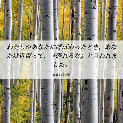 Picture 06 - 哀歌 3:57 JPN - わたしがあなたに呼ばわったとき、 - Bible Verse Picture